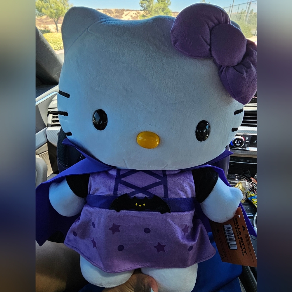 Hello kitty greeter